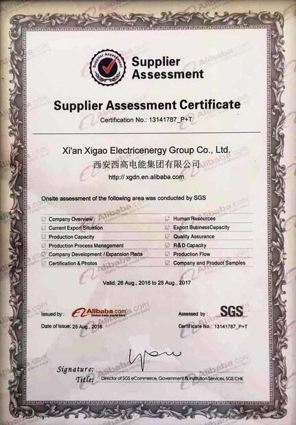 Xi'an Xigao Electricenergy Group Co., Ltd.