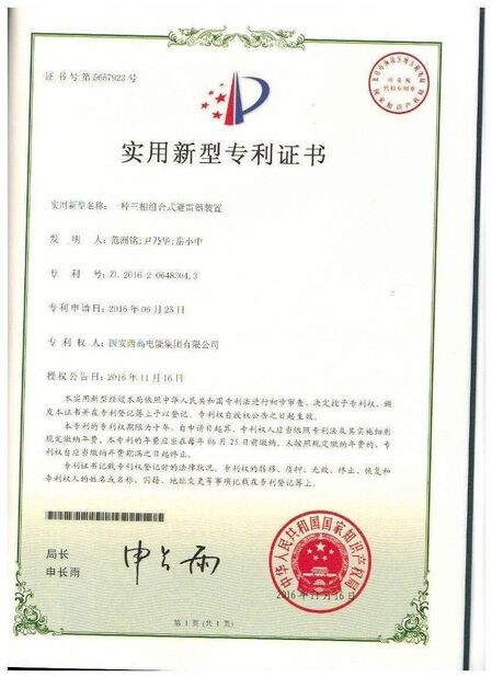 Xi'an Xigao Electricenergy Group Co., Ltd.